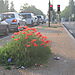 Mars-Avril 2007 Cergy 014